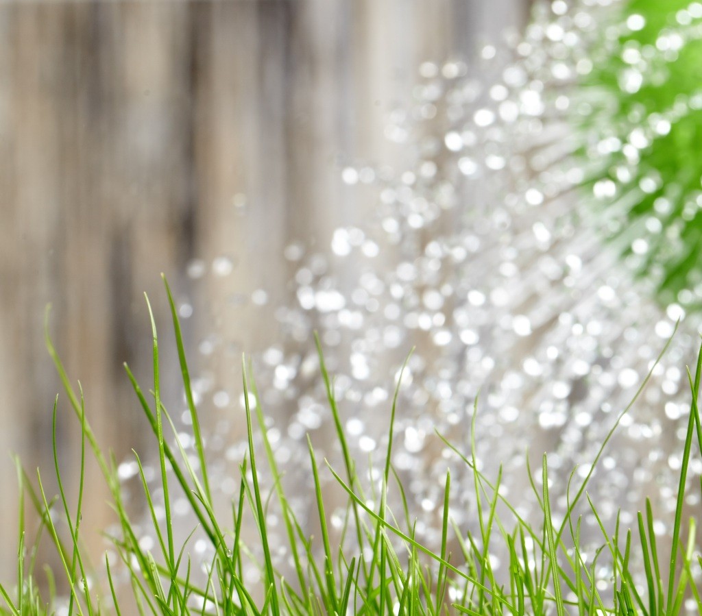 12 Fakten und Statistiken zum Lead Nurturing, die Sie kennen müssen
